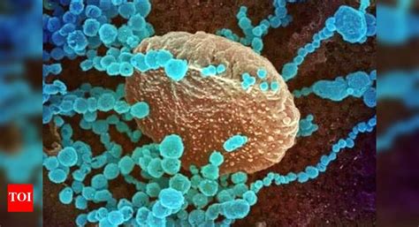 Image result for Delta Plus Variant