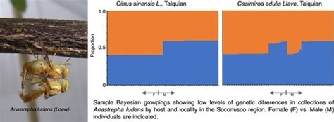 Insects | Special Issue : Population Genetics of Insects