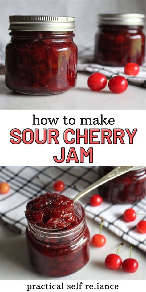 Dried Sour Cherry Jam Recipe at Stephanie Reynolds blog