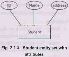Image result for Entity Model Features Meaning Guide