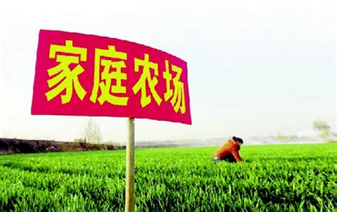“家庭农场生态农业技术集成示范”项目通过验收 | 上海蔬菜食用菌行业协会