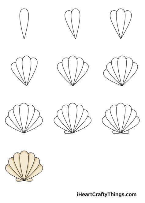 Seashell Drawing Tutorial 的图像结果
