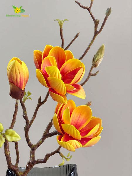 Magnolia Ikebana Flower Stick - Yellow – Blooming Floret