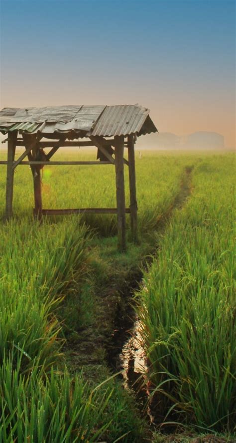 SUGAM, Government of Odisha