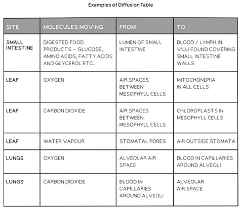 Diffusion in Biology - Biology for GCSE/IGCSE - Year 11 PDF Download