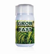 Image result for grow fast