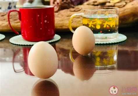 听说春分立鸡蛋成功率高是真的吗 怎样提高立蛋成功率 _八宝网