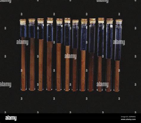 Chinese twelve-tone pitch pipes (from the tomb of Xin Zhui in Mawangdui ...