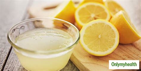 How To Treat A Dog Bite Naturally? Check Out These 7 Home Remedies ...