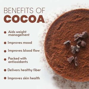 Bake King 100% Organic Unsweetened & Natural 100g Cocoa Powder for ...