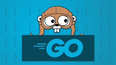 Image result for Go Language Learning