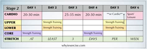 Image result for Exercise Programme