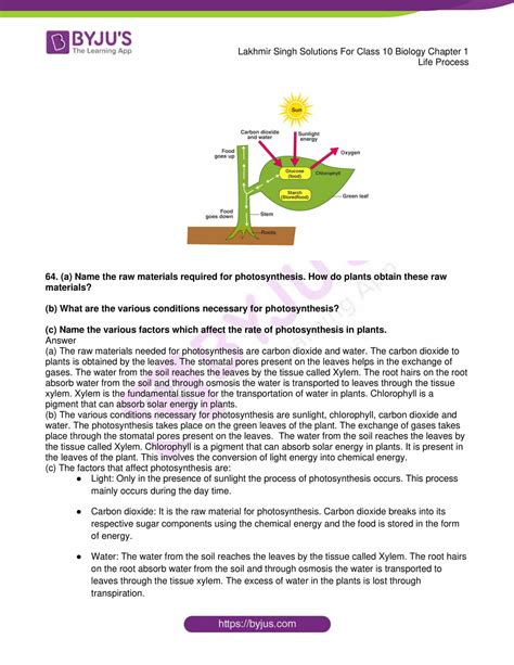 Class 10 Bio Chapter 1 的图像结果