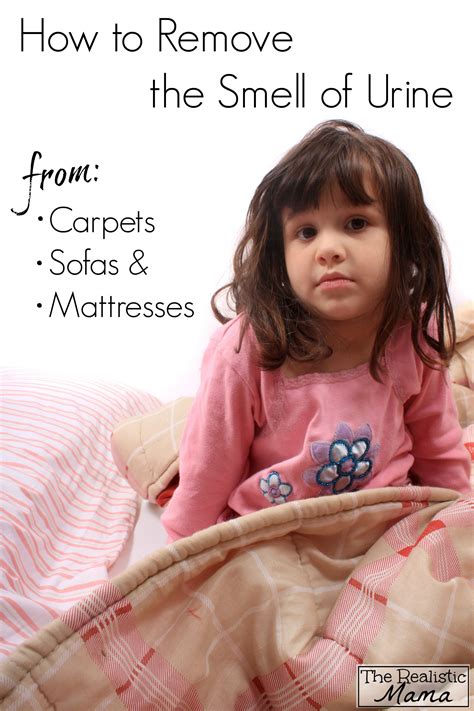 Get rid of wee smell from carpet online