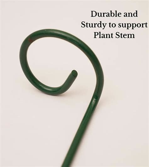 Metal Plant Stakes 2