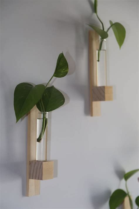 ANCIENT SHOPPEE Test Tube Wall Planters (Set of 2) | Hanging Planters ...