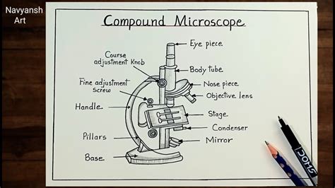 Image result for Compund Microscope