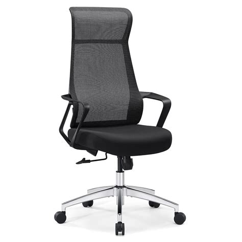 Buy Tribesigns Ergonomic Office Chair, High Back Mesh Chair with ...