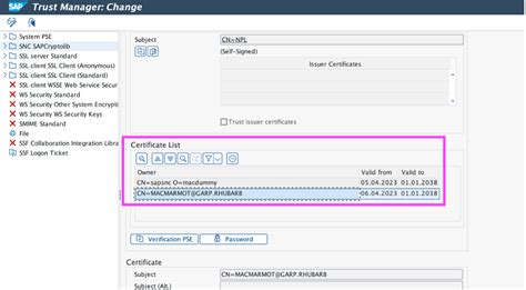 Image result for Encrypt SAP Control Connection