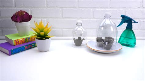 Water Bottle Greenhouse - Super Simple