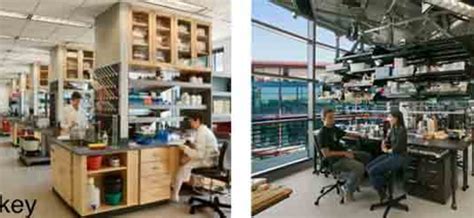 Image result for Scan Lab Design