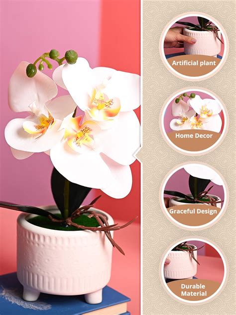 White Orchid Flowers With White Pot - Desktop Plants – MARKET99