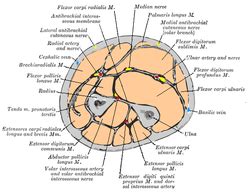 Image result for Pyhton Coding Image