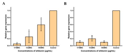 Control of Foodborne Staphylococcus aureus by Shikonin, a Natural Extract
