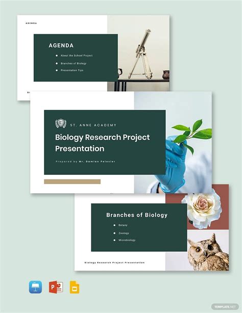 Image result for Projects Presentation Sample