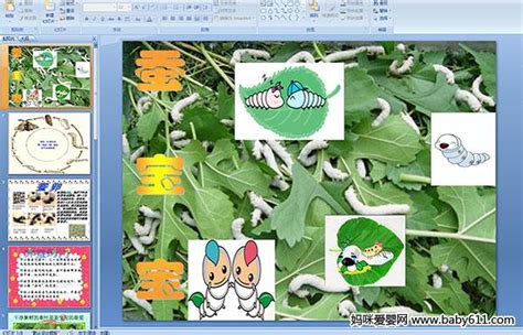 春蚕图片 蚕宝宝的生长过程图片详解_第二人生