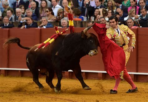 Bullfighting finds new audience among Spanish youths | Daily Sabah