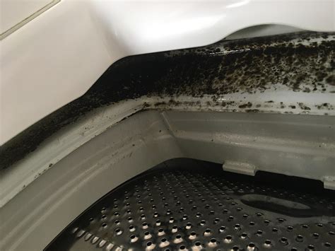 Image result for Mold Front Load Washing Machine