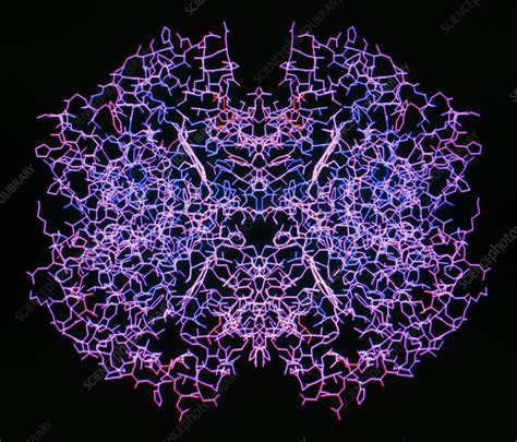 Image result for Haemoglobin Structure Model