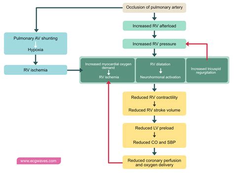 Pulmonary Embolism Algorithm 的图像结果