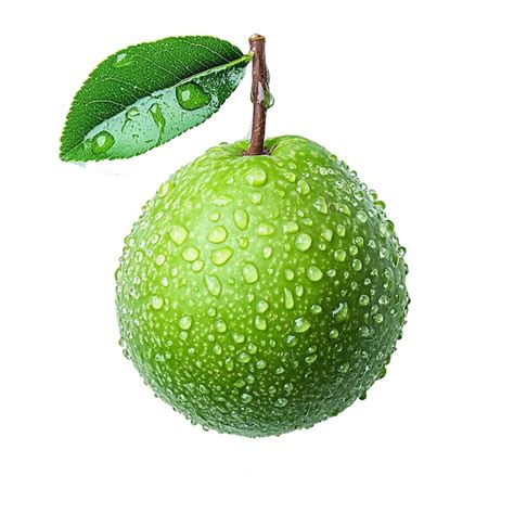 Image result for Guava Fruit Machine Learning Python Project