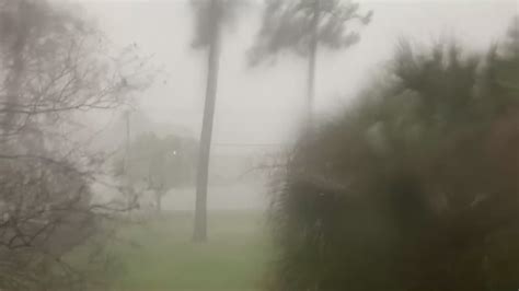 Straight Line Wind Damage 的图像结果