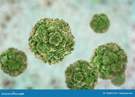 Enteroviruses, a Group of RNA-viruses Including Echoviruses ...