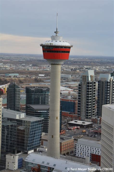 Calgary Tower 的图像结果