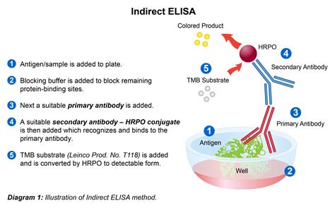 Elisa Test
