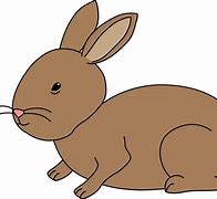 Image result for Colorfull Art Rabbit