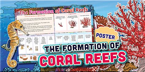 The Formation of Coral Reefs Poster
