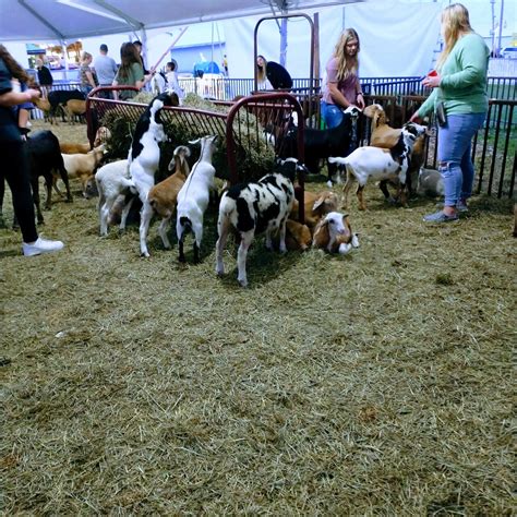 Dunbar Tourism (2023): Best of Dunbar, PA - Tripadvisor