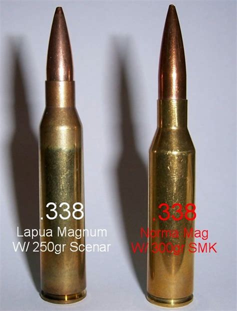338 Lapua Rifle Custom 17 Barrel Ai Defiance | Images and Photos finder