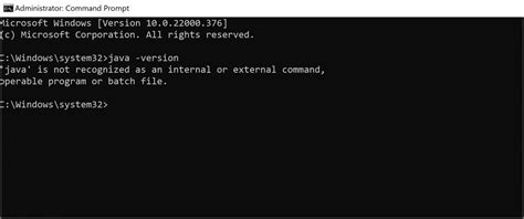 Installing Java Windows 11 的图像结果