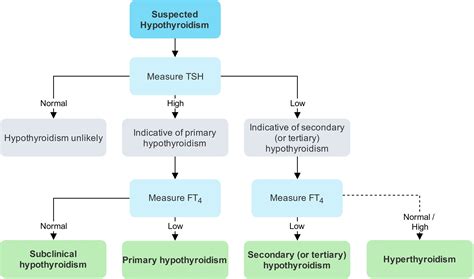 Congenital Hypothyroidism Treatment