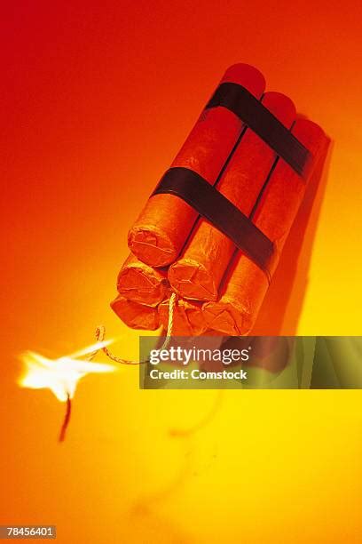 Image result for Dynamite Waste Management