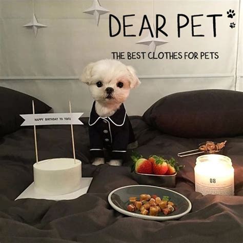 Dog Pajamas Puppy Clothes Casual Daily Winter Dog Clothing 2026 - $16.99