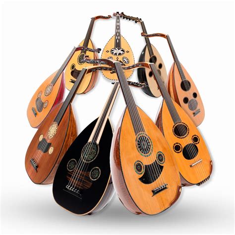 Image result for Special String Instruments