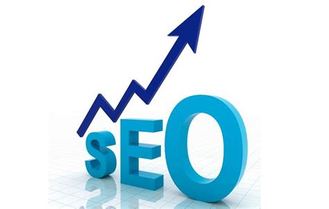 Getting The Right SEO Company In Tampa – Jewish Chicken Ranchers