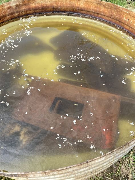 Remove Rust with Molasses 的图像结果